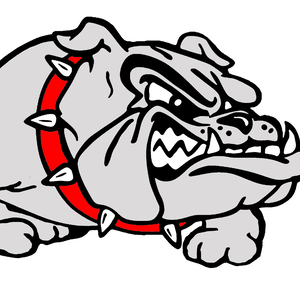 Team Page: Boscobel School Teachers